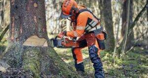 Oportunități de angajare: 274 poziții disponibile în Maramureș