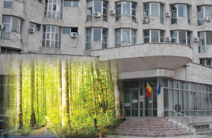 Licitație de amploare în Gorj: O pădure de 48 de hectare și bunuri variate disponibile pentru cumpărare