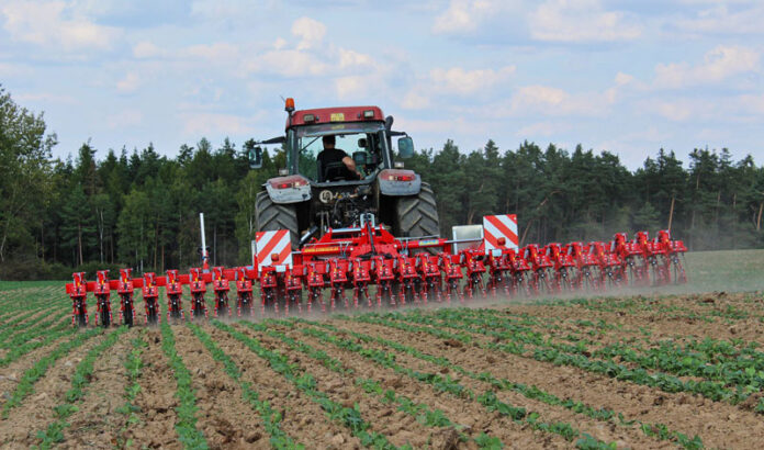 Ghidul lucrărilor agricole pentru luna iunie: sfaturi esențiale pentru fermieri