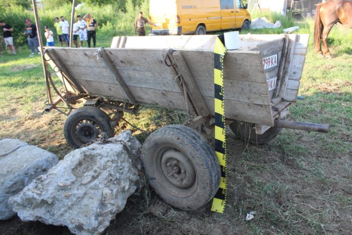 Trei bărbați din Gorj și Argeș reținuți pentru abuzuri asupra animalelor