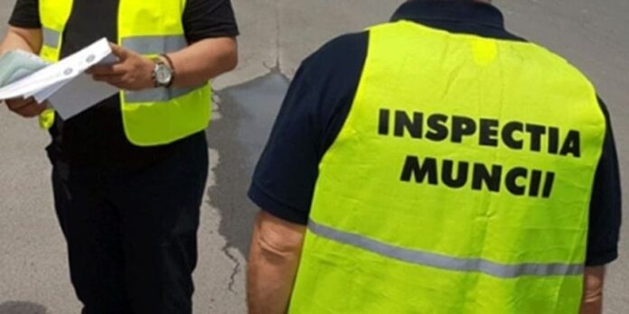 Amendă semnificativă pentru fermieri și instructori în urma controalelor muncii