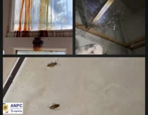 Un restaurant de pe litoral închis din cauza condițiilor insalubre