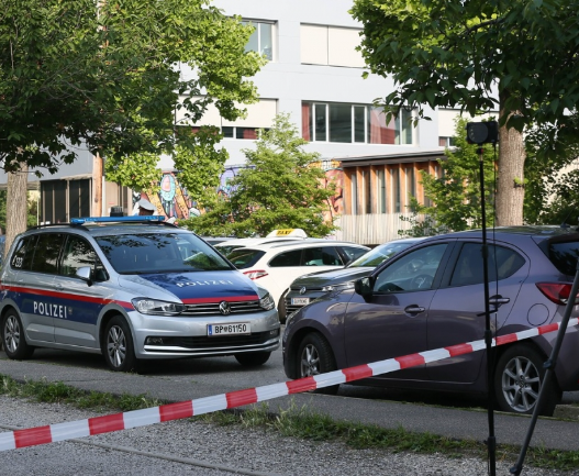 Doi elevi români printre victimele atacului tragic dintr-o școală din Austria