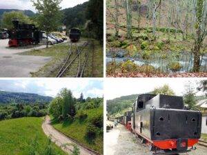 Descoperă mocănițele uitate ale Maramureșului: o istorie bogată și diversificată