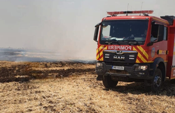 Incendiu devastator de vegetație în Vadu Lat: 60 de hectare distruse