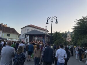 Concert caritabil pentru viață la Brașov: susține-o pe Liuba