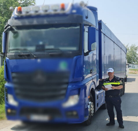 Acțiuni rutiere în Giurgiu: peste 160 de sancțiuni pentru transport ilegal