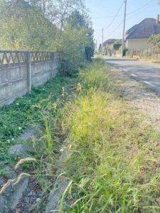 Întreținerea spațiilor verzi: Primăria Săcălășeni intensifică controalele