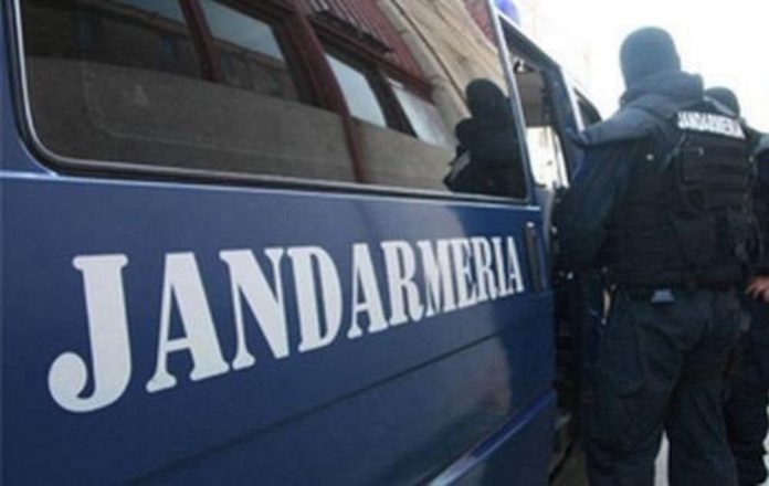 Descoperiri surprinzătoare în Slatina: jandarmii acționează împotriva drogurilor