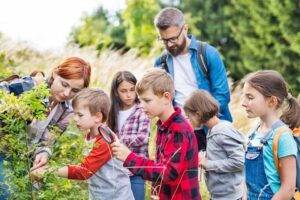 Evaluarea programului 'Săptămâna Verde': un impact pozitiv în învățământ