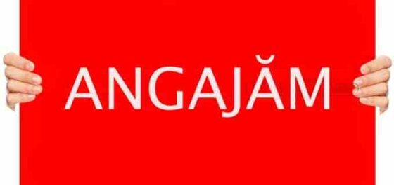 Oportunitate de angajare la Blitz Fast Food: căutăm pizzar dedicat