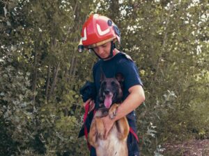 Un exercițiu de salvare canină, organizat de IGSU la Orăștie