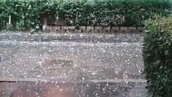 Avertizări meteo: ploi torențiale și vijelii în Olt și alte județe