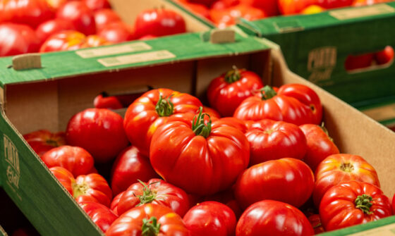 Roșii românești proaspete în magazinele Lidl: parteneriate locale și calitate garantată
