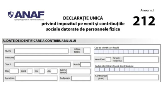 Termenul pentru depunerea Declarației unice în 2025