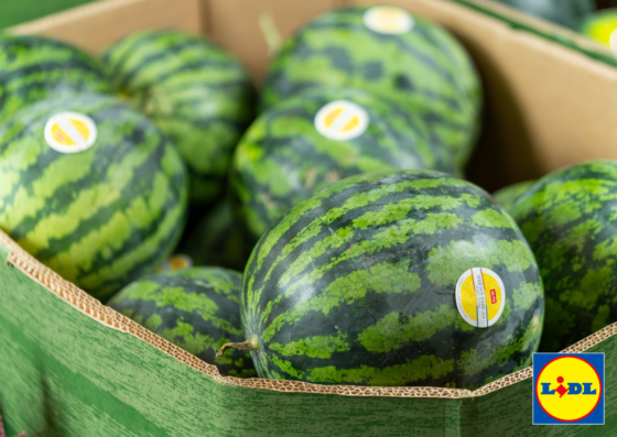Lidl România promovează produsele locale: pepeni românești la prețuri accesibile