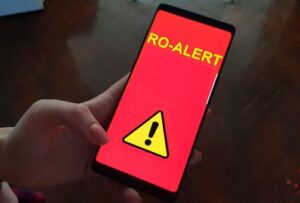 Avertizare RO-Alert în Brașov: Urs pe Drumul Vechi spre Poiana Brașov