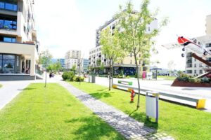 Brașov celebrează tradiția românească cu un eveniment dedicat iei