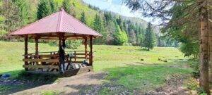 Valea Strâmbului Băiuț: planuri de revitalizare pentru iubitorii de natură