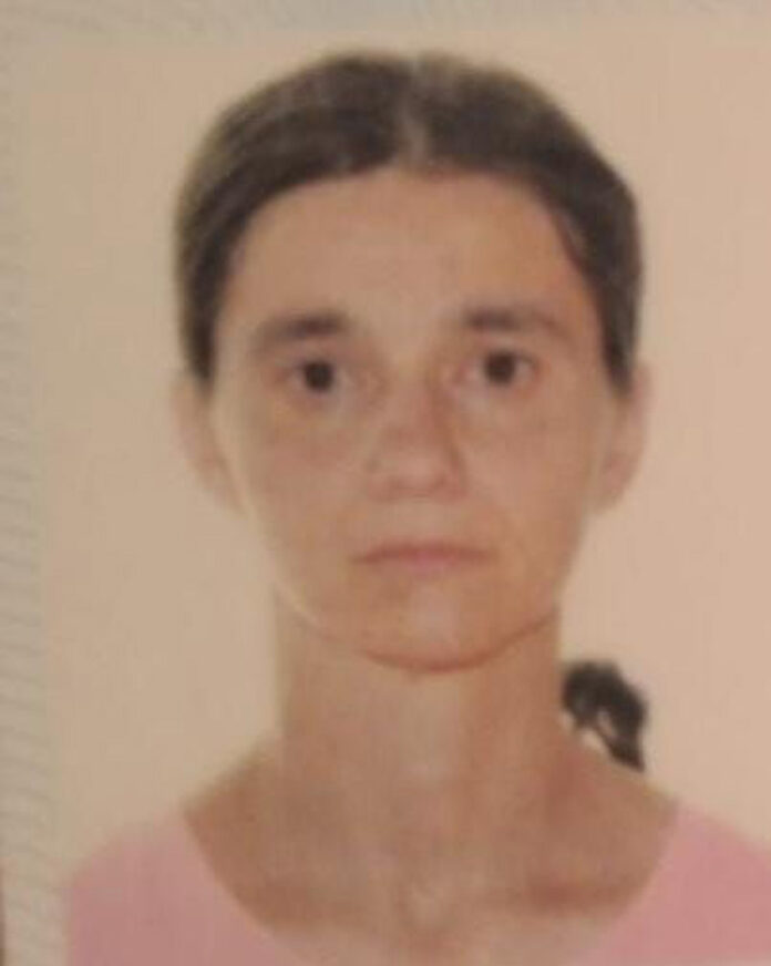 Căutări intense pentru o mamă și fiica ei dispărute din Novaci