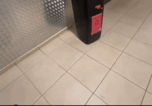 Mall-urile din România, sub obligația deratizării impusă de ANPC