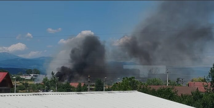 Incendiu de vegetație în Târgu-Jiu: pompierii intervin rapid
