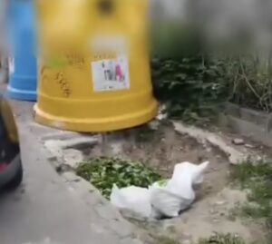 Doi brașoveni amendați pentru aruncarea deșeurilor la boxele de gunoi