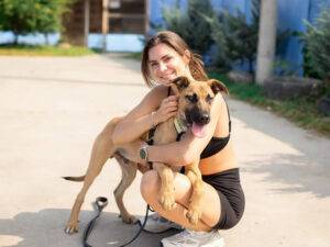 Voluntarii germani sprijină adăpostul de câini din Baia Mare