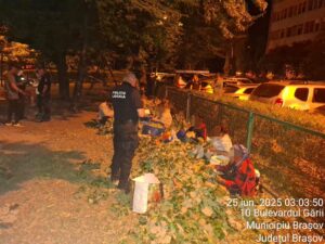 Sancțiuni pentru opt persoane care au cules flori de tei în Brașov