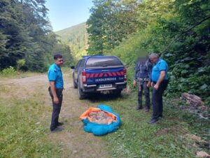 Jandarmii montani din Brașov salvează un câine aflat în pericol în Făgăraș