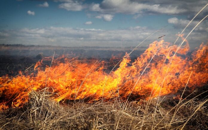 Atenție, Târgu Jiu: risc crescut de incendii de vegetație în sezonul cald