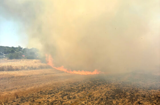 Atenție: Cod roșu de caniculă și riscuri severe de incendiu
