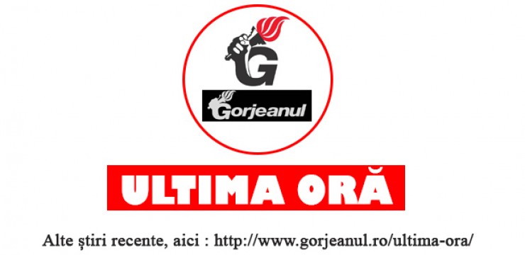 Copac prăbușit blochează circulația pe DN66