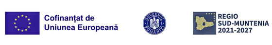Nouă unitate de producție pentru elemente de fibră optică în Comana