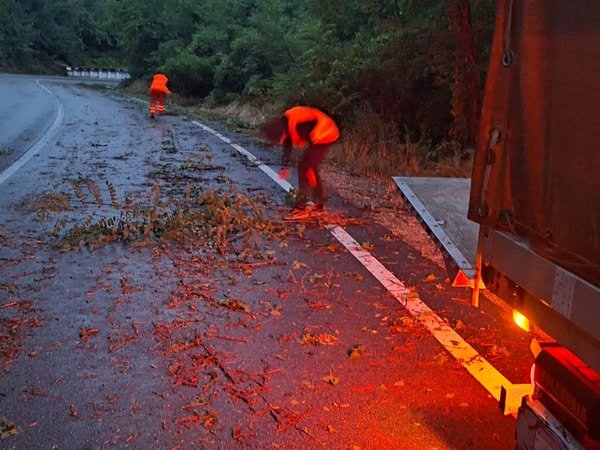 Gorjul se confruntă cu întreruperi de curent din cauza vremii severe