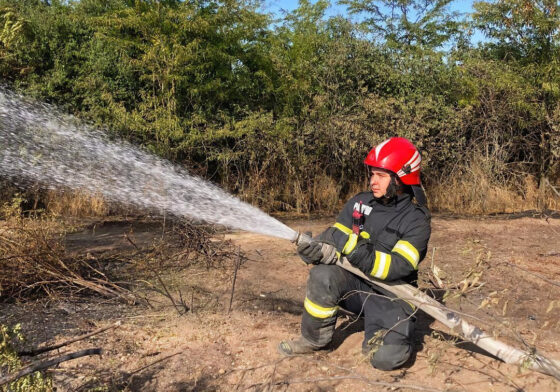 Incendiul de vegetație amenință gara și baza de recepție din Vadu Lat