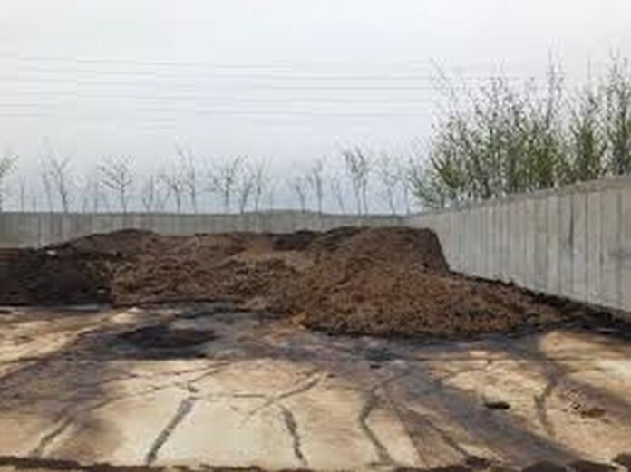Gunoiul de grajd: un ingredient valoros în agricultura modernă