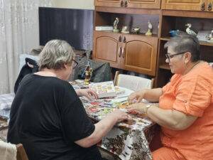Îngrijiri la domiciliu pentru seniori: Kinetoterapie și logopedie în Baia Mare