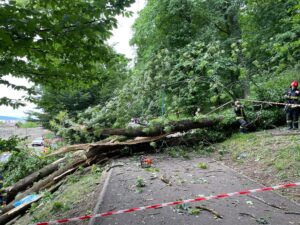 Tragedie pe Aleea de sub Tâmpa: Primăria Brașov oferă detalii despre incidentul fatal