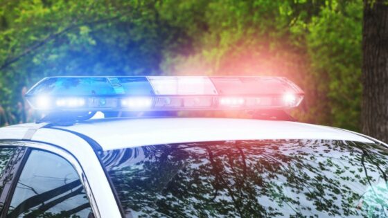 Accident rutier în care a fost implicată o autospecială de poliție