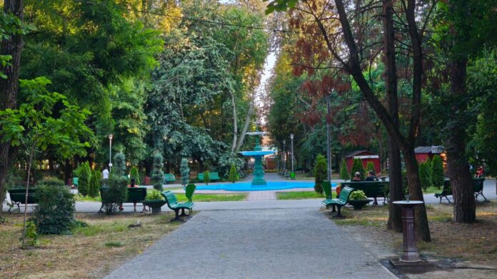 Reabilitarea Parcului Central din Târgu Jiu: două proiecte majore în lucru