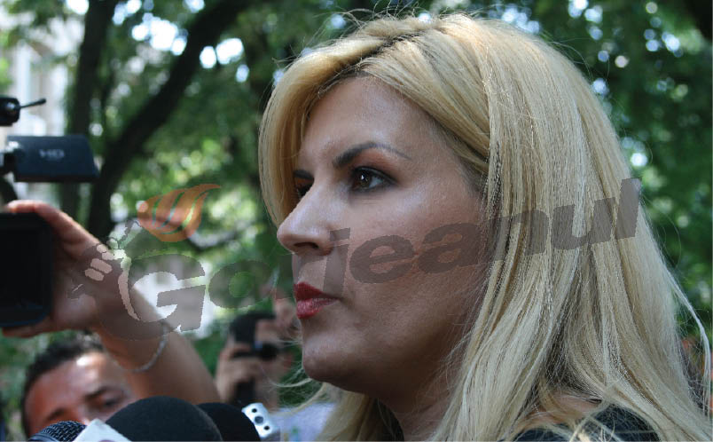 Contestația DNA în cazul eliberării condiționate a Elenei Udrea