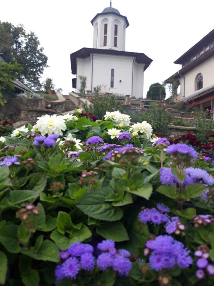 Descoperă liniștea spirituală la mănăstirea Dealu Mare din Gorj
