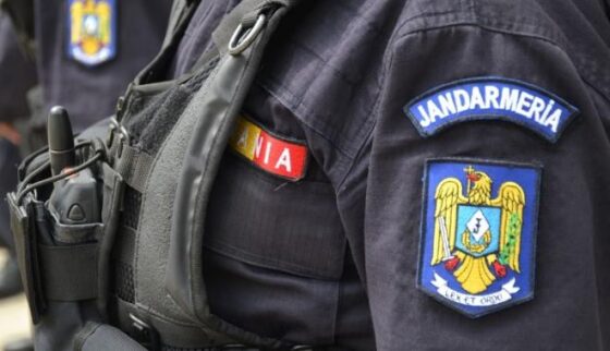 Jandarmii din Giurgiu investighează o posibilă panteră neagră în oraș