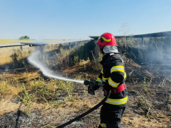 Incendiu devastator în Uzunu: distrugeri majore la un parc fotovoltaic