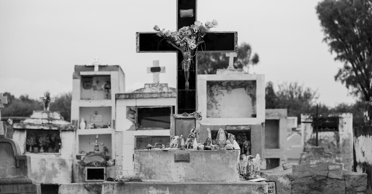 Testamentul Papei Francisc: un singur cuvânt pe mormânt și funeralii acoperite de un anonim