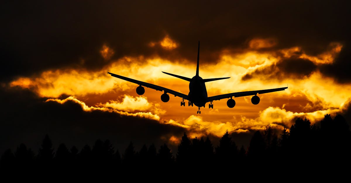 Aeroportul Brașov: rezultate promițătoare după primul trimestru din 2025