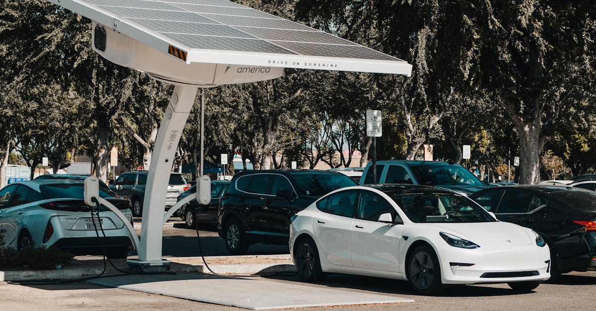 Rabla auto 2025: Noutăți despre cuantumul ecotichetului și înscrieri