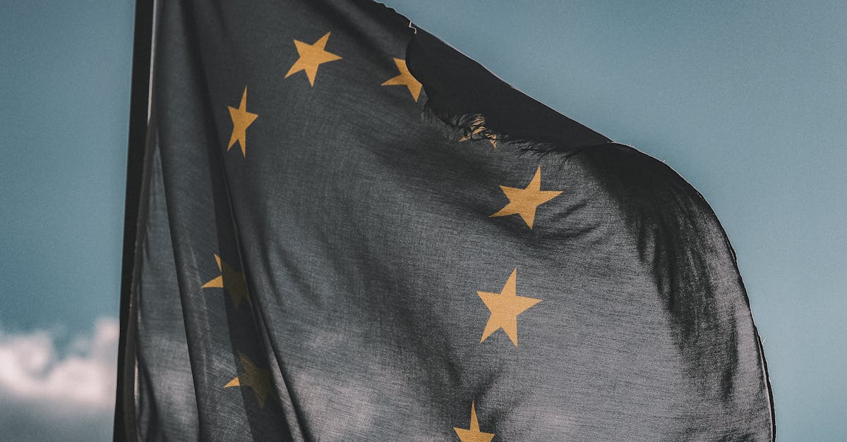 UE reafirmă sprijinul pentru Ucraina și suveranitatea sa