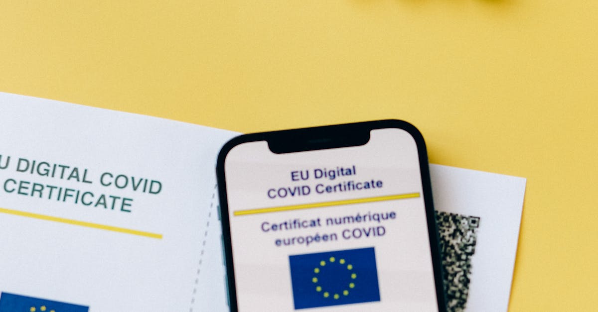 Apple și Meta sancționate cu 700 milioane de euro de UE: ce reglementări au fost încălcate